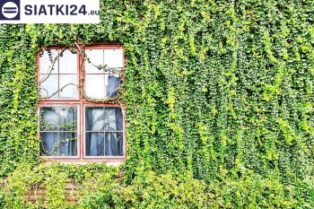 Siatki Prudnik - Siatka z dużym oczkiem - wsparcie dla roślin pnących na altance, domu i garażu dla terenów Prudnika